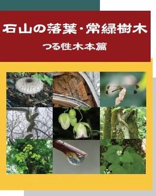 石山の樹木(落葉・常緑つる性木本篇)PDFファイル表紙